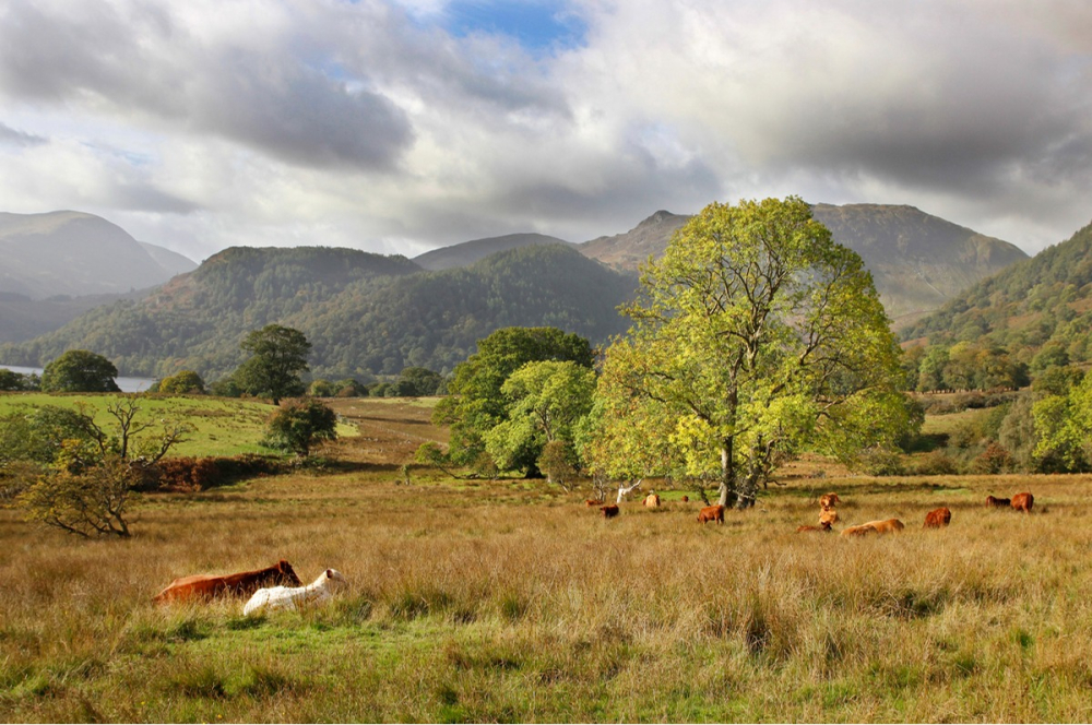 Ullswater Morning